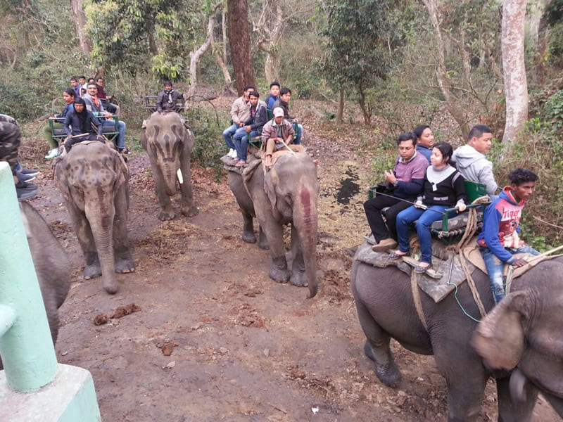 Meghalaya & Assam Tour